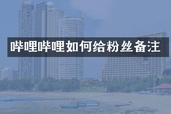 哔哩哔哩如何给粉丝备注
