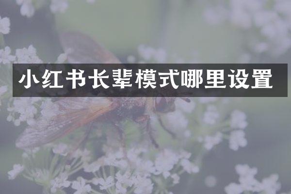 小红书长辈模式哪里设置