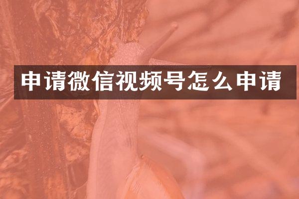 申请微信视频号怎么申请