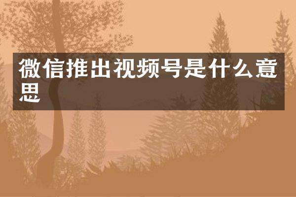 微信推出视频号是什么意思
