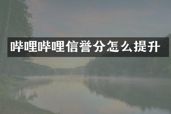 哔哩哔哩信誉分怎么提升
