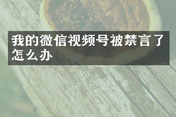 我的微信视频号被禁言了怎么办