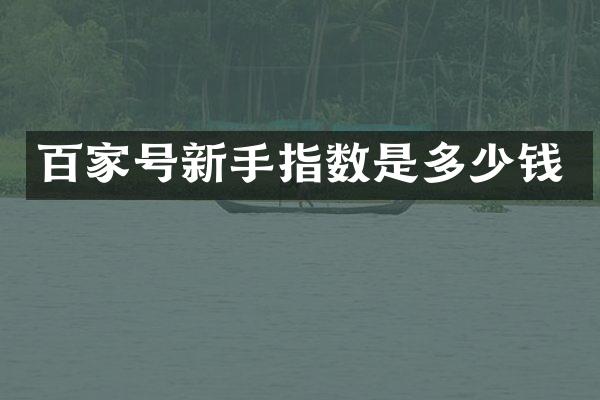 百家号新手指数是多少钱