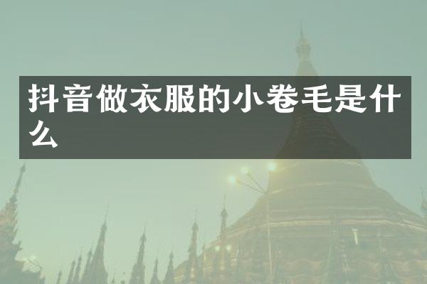 抖音做衣服的小卷毛是什么