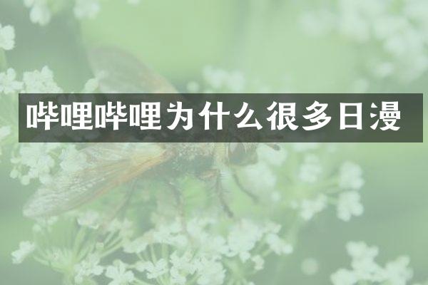 哔哩哔哩为什么很多日漫