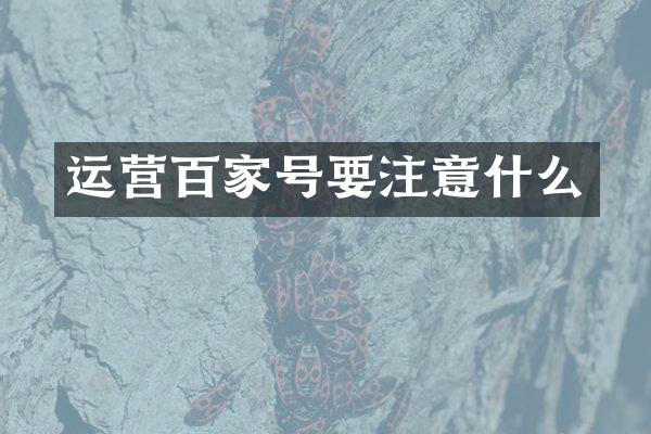 运营百家号要注意什么