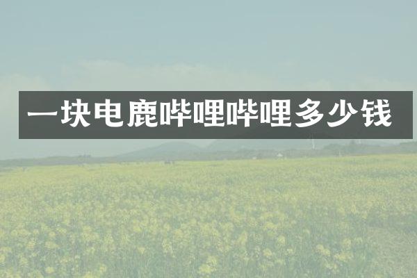 一块电鹿哔哩哔哩多少钱