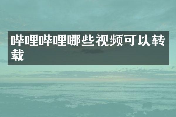 哔哩哔哩哪些视频可以转载
