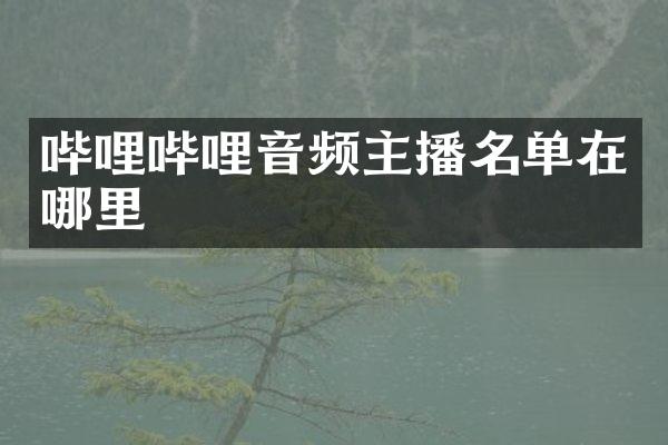 哔哩哔哩音频主播名单在哪里