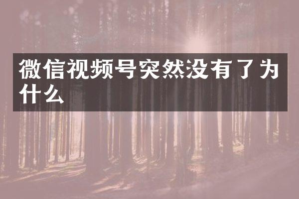 微信视频号突然没有了为什么