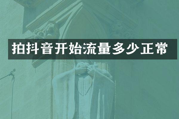 拍抖音开始流量多少正常