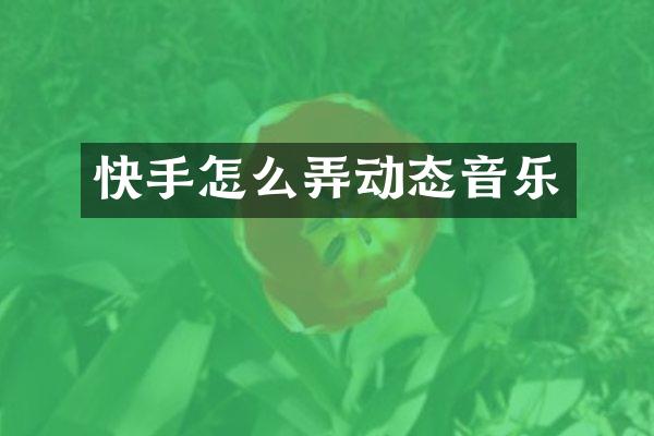 快手怎么弄动态音乐