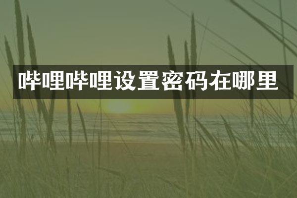 哔哩哔哩设置密码在哪里