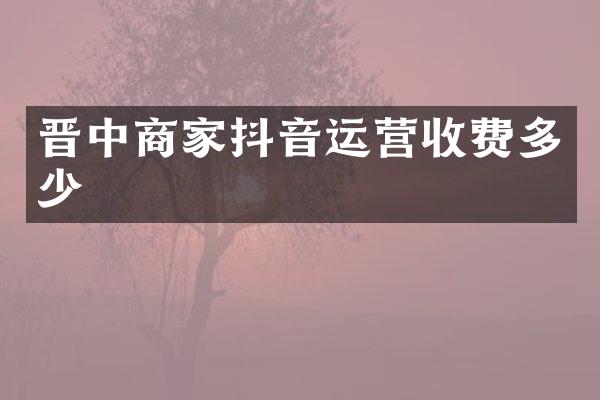 晋中商家抖音运营收费多少