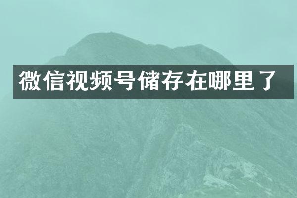 微信视频号储存在哪里了