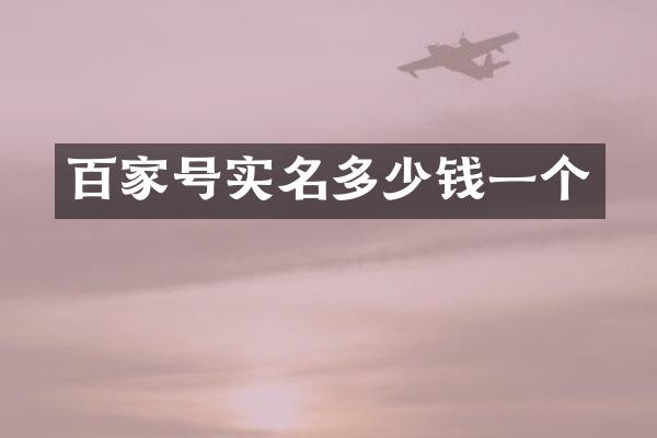 百家号实名多少钱一个