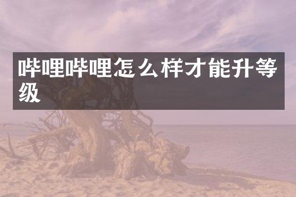 哔哩哔哩怎么样才能升等级