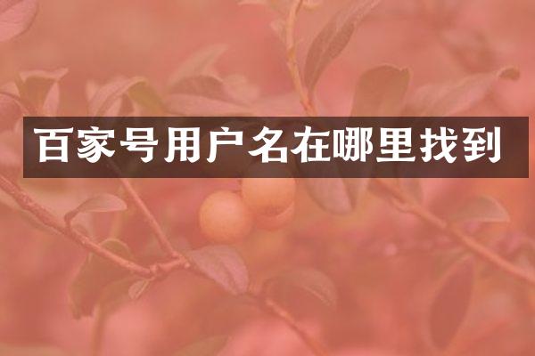 百家号用户名在哪里找到