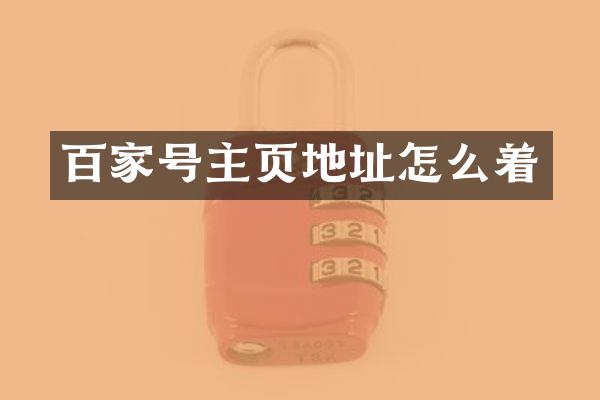 百家号主页地址怎么着