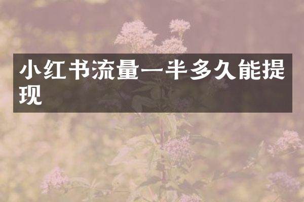 小红书流量一半多久能提现