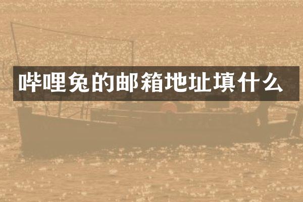 哔哩兔的邮箱地址填什么