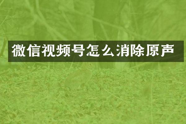 微信视频号怎么消除原声