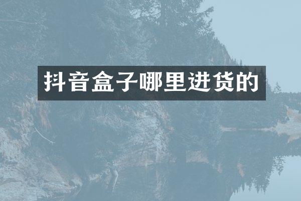抖音盒子哪里进货的