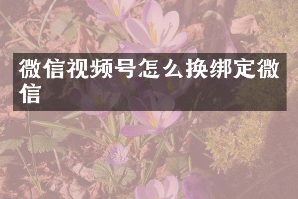 微信视频号怎么换绑定微信