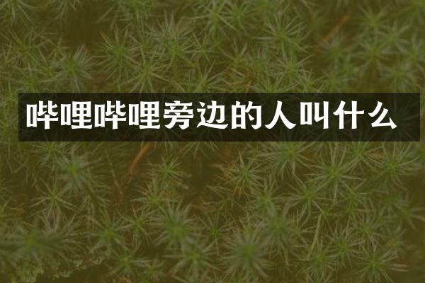 哔哩哔哩旁边的人叫什么