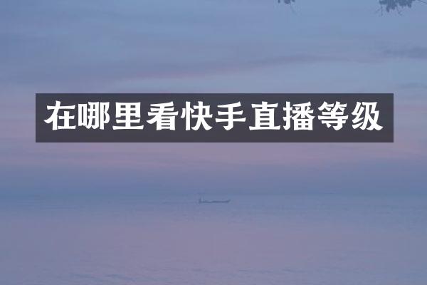 在哪里看快手直播等级