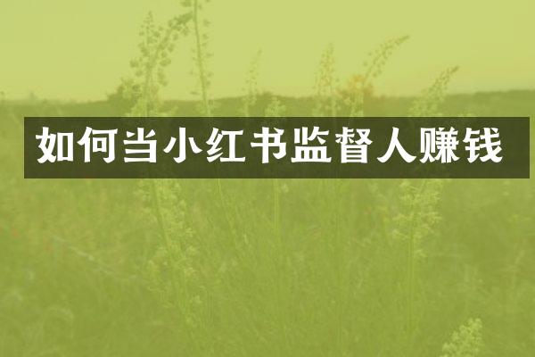 如何当小红书监督人赚钱