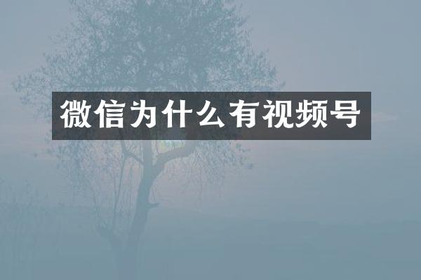 微信为什么有视频号