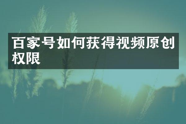 百家号如何获得视频原创权限