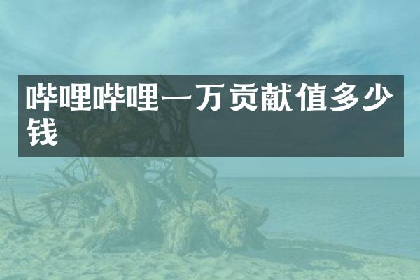 哔哩哔哩一万贡献值多少钱