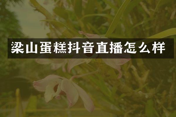 梁山蛋糕抖音直播怎么样