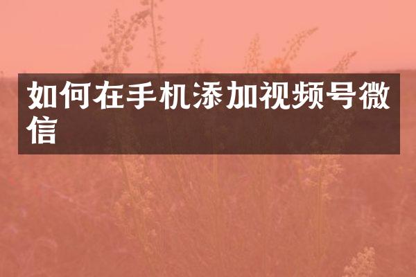 如何在手机添加视频号微信