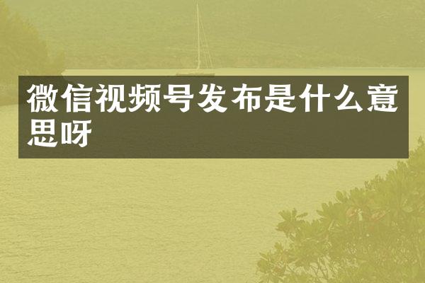 微信视频号发布是什么意思呀