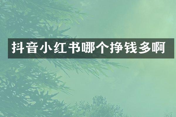 抖音小红书哪个挣钱多啊