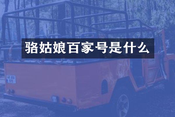 骆姑娘百家号是什么