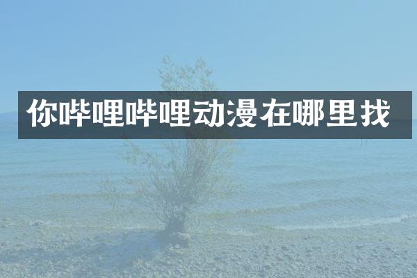 你哔哩哔哩动漫在哪里找