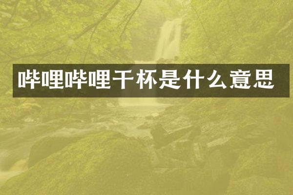 哔哩哔哩干杯是什么意思