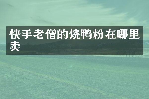 快手老僧的烧鸭粉在哪里卖