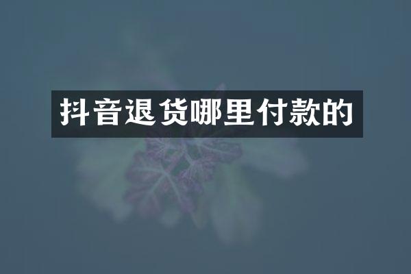 抖音退货哪里付款的