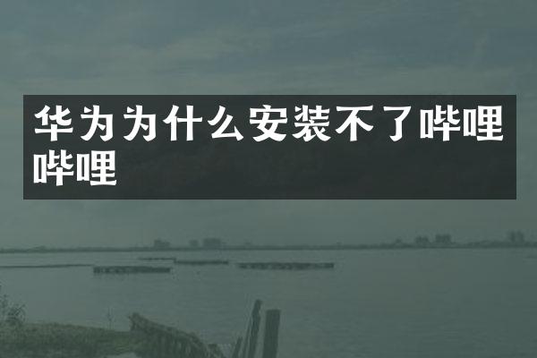 华为为什么安装不了哔哩哔哩