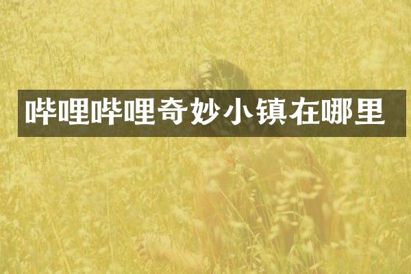 哔哩哔哩奇妙小镇在哪里