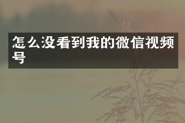 怎么没看到我的微信视频号