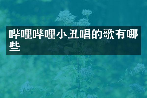 哔哩哔哩小丑唱的歌有哪些