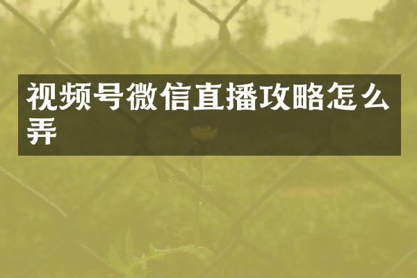 视频号微信直播攻略怎么弄