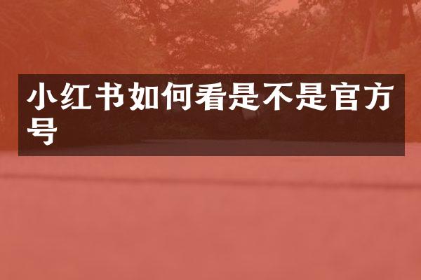 小红书如何看是不是官方号