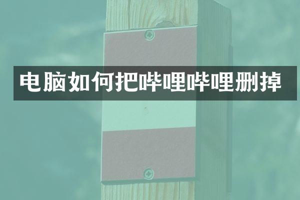 电脑如何把哔哩哔哩删掉